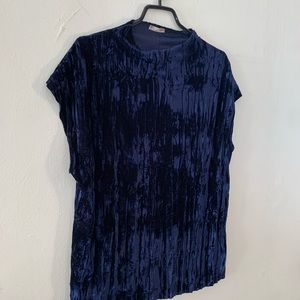 Zara Velvet Top